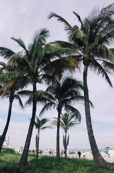 déménagement en Floride